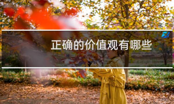 正确的价值观有哪些（正确的价值观介绍）图片