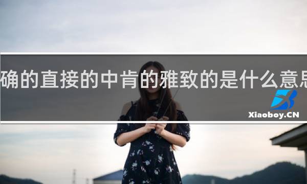正确的直接的中肯的雅致的是什么意思什么梗