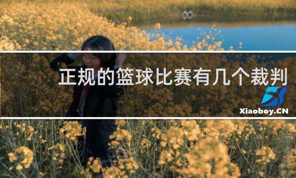 正规的篮球比赛有几个裁判