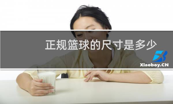 正规篮球的尺寸是多少