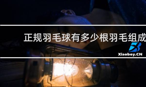 正规羽毛球有多少根羽毛组成