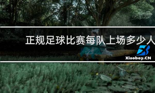 正规足球比赛每队上场多少人