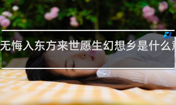 此生无悔入东方来世愿生幻想乡是什么意思什么梗