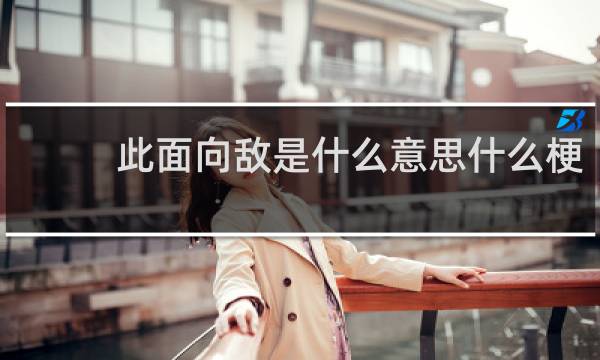 此面向敌是什么意思什么梗