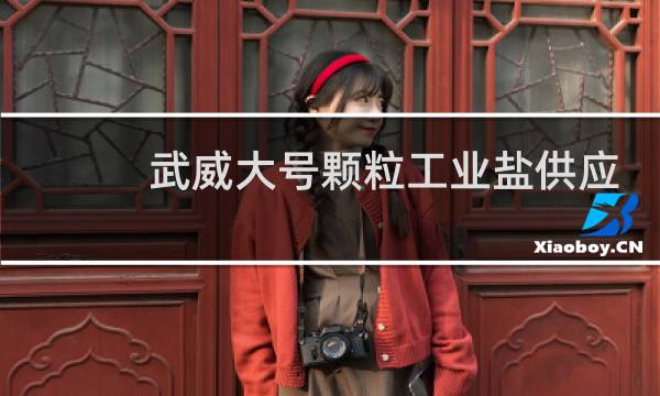 武威大号颗粒工业盐供应厂家