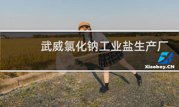 武威氯化钠工业盐生产厂家图片