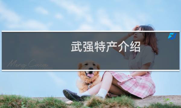 武强特产介绍（衡水武强特产大全）图片