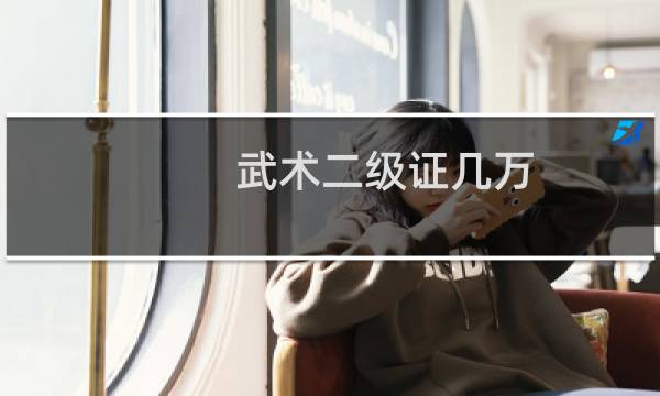 武术二级证几万