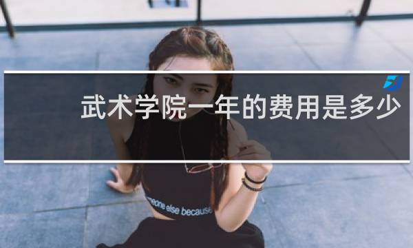 武术学院一年的费用是多少