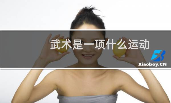 武术是一项什么运动