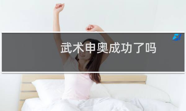 武术申奥成功了吗