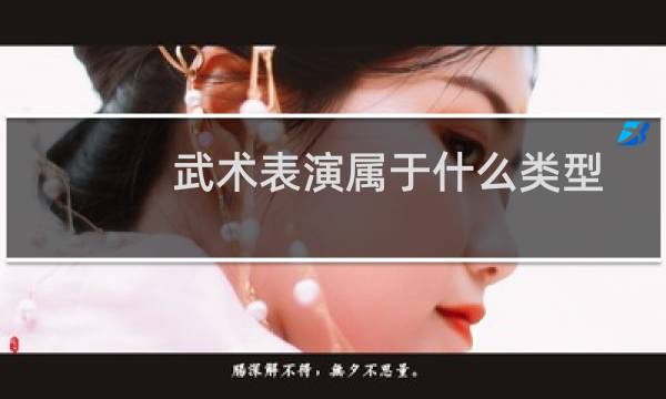 武术表演属于什么类型