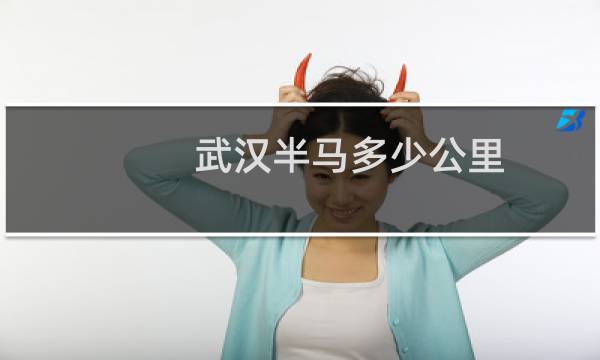 武汉半马多少公里
