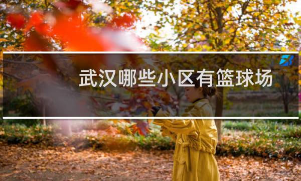 武汉哪些小区有篮球场