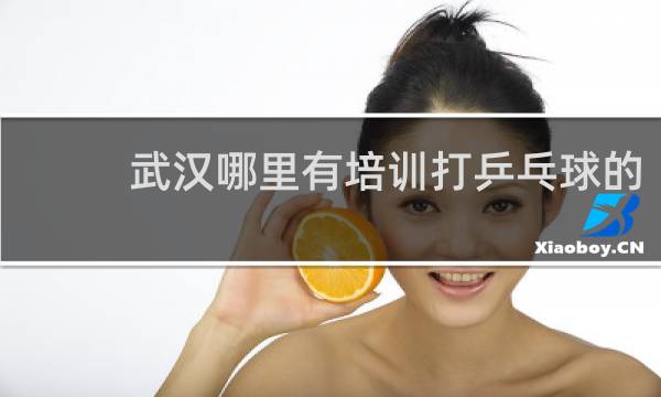 武汉哪里有培训打乒乓球的