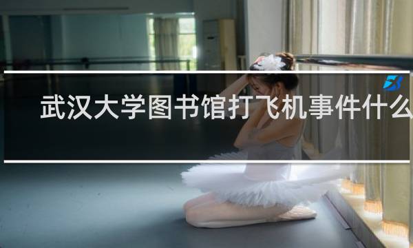 武汉大学图书馆打飞机事件什么梗