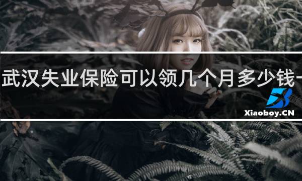 武汉失业保险可以领几个月多少钱一个月