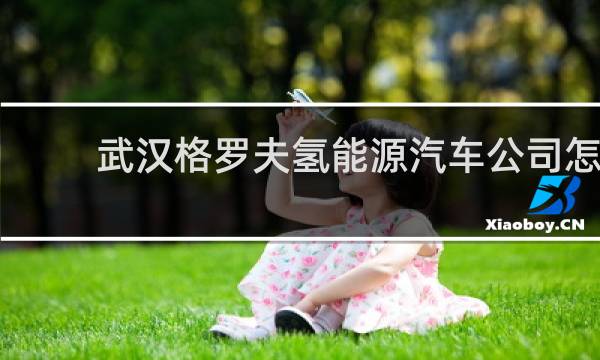 武汉格罗夫氢能源汽车公司怎么样图片