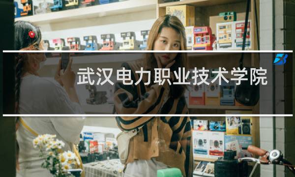 武汉电力职业技术学院2024在湖南录取分数线最低多少分