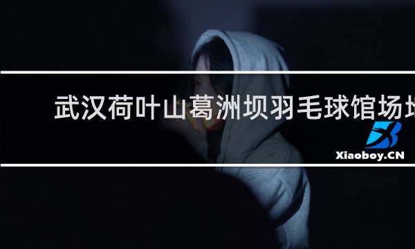 武汉荷叶山葛洲坝羽毛球馆场地收费是按人头收费吗