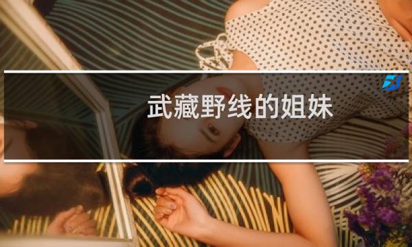 武藏野线的姐妹