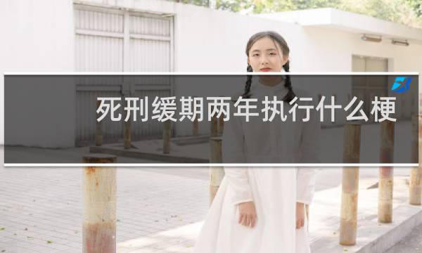 死刑缓期两年执行什么梗