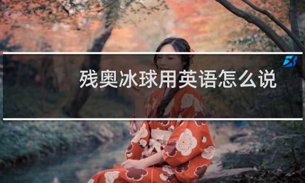 残奥冰球用英语怎么说