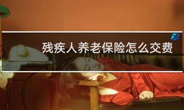 残疾人养老保险怎么交费