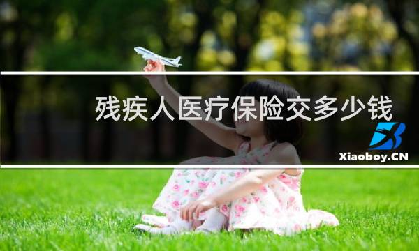 残疾人医疗保险交多少钱