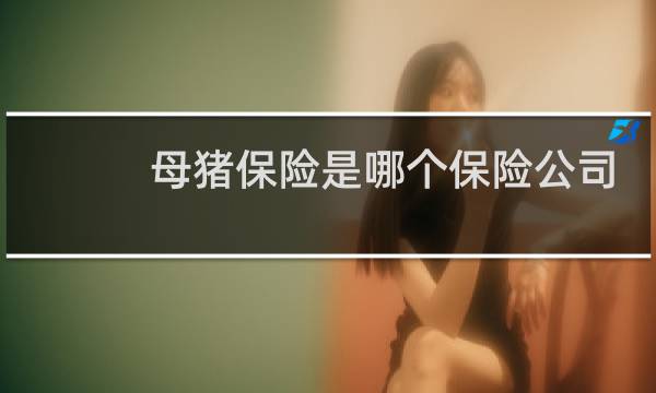 母猪保险是哪个保险公司