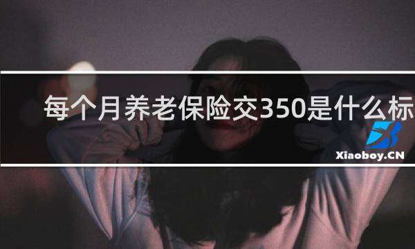 每个月养老保险交350是什么标准