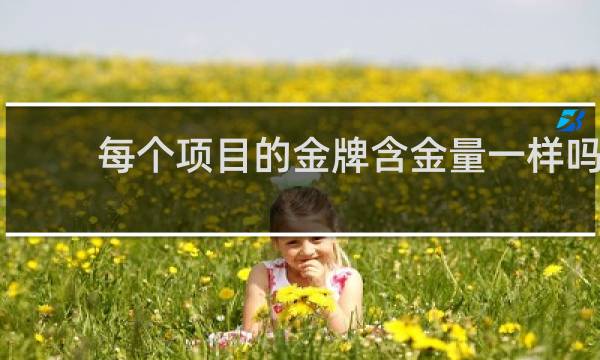每个项目的金牌含金量一样吗