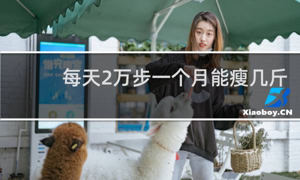 每天2万步一个月能瘦几斤
