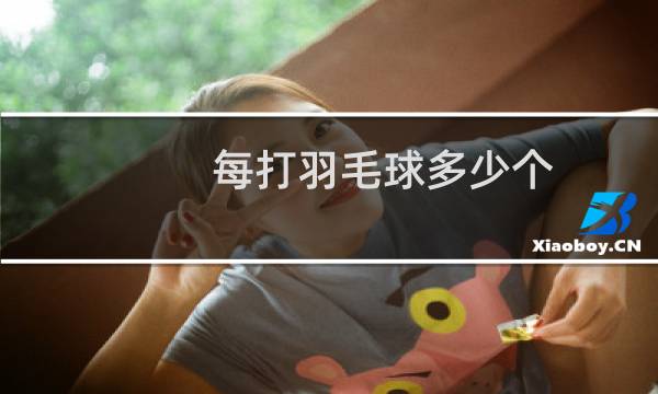 每打羽毛球多少个
