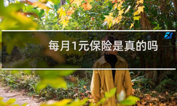 每月1元保险是真的吗
