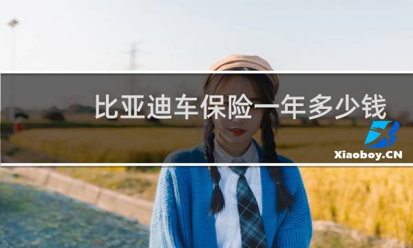比亚迪车保险一年多少钱