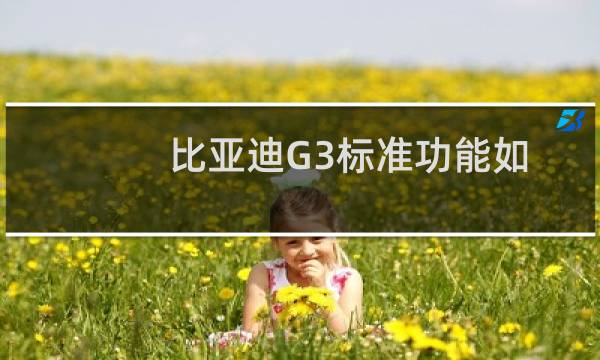 比亚迪G3标准功能如何