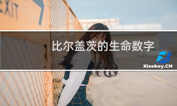 比尔盖茨的生命数字（比尔盖茨的生平事迹）图片
