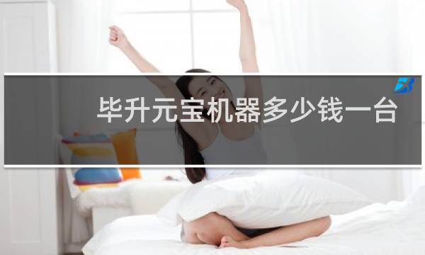 毕升元宝机器多少钱一台