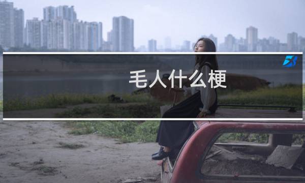 毛人什么梗