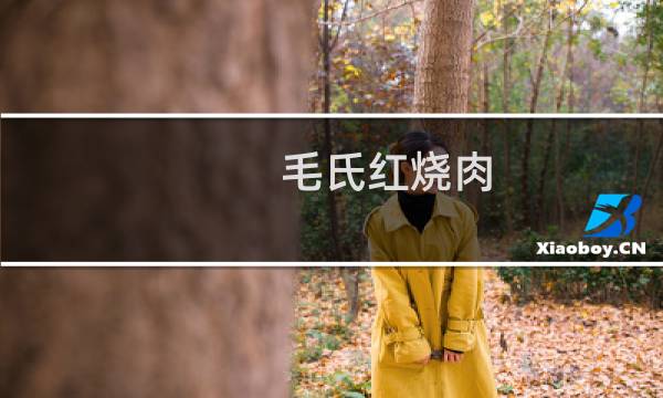 毛氏红烧肉(雨花区特产)