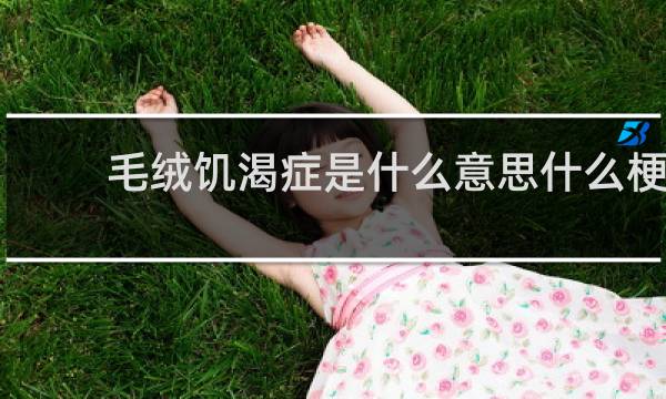 毛绒饥渴症是什么意思什么梗