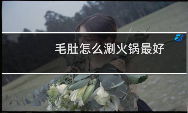 毛肚怎么涮火锅最好(毛肚怎么涮)