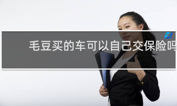 毛豆买的车可以自己交保险吗