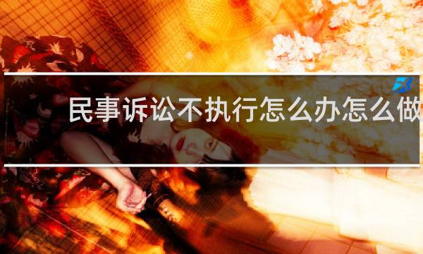 民事诉讼不执行怎么办怎么做