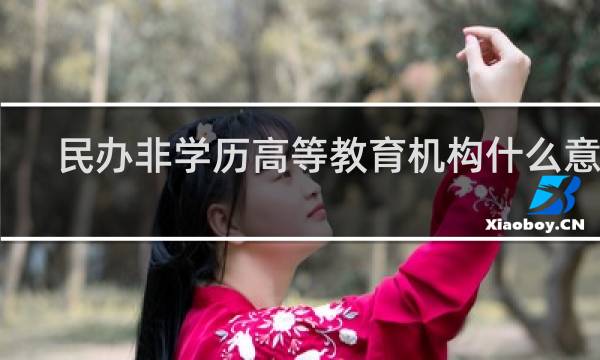 民办非学历高等教育机构什么意思