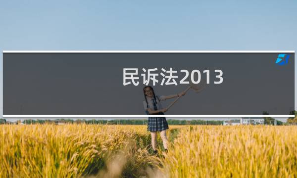 民诉法2013图片