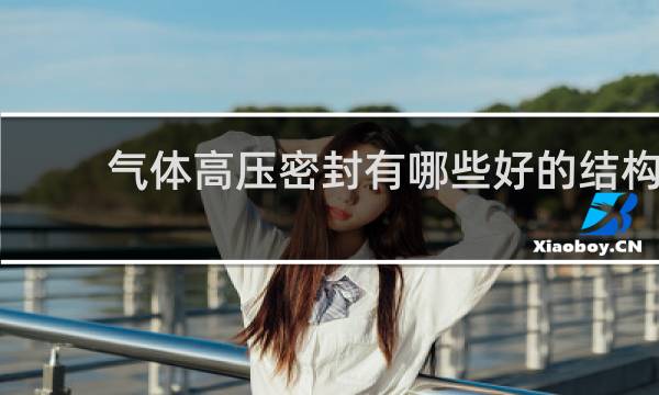 气体高压密封有哪些好的结构