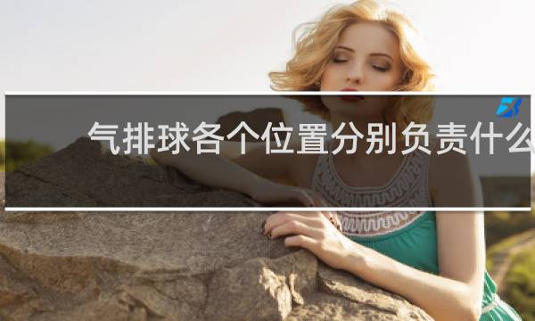 气排球各个位置分别负责什么