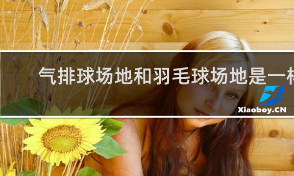 气排球场地和羽毛球场地是一样的吗